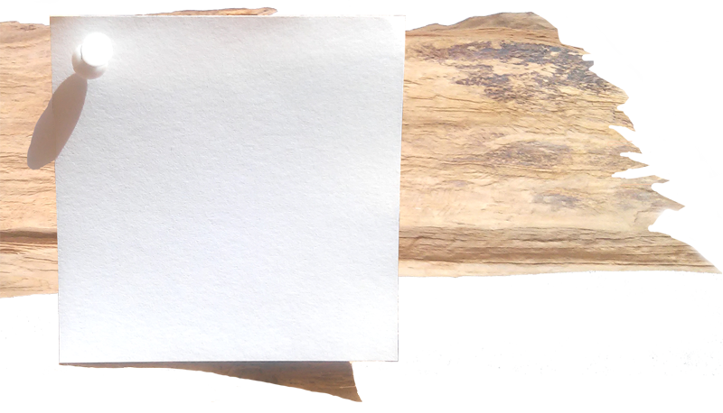 Treibholz mit Zettel als Hintergrundbild fr Text